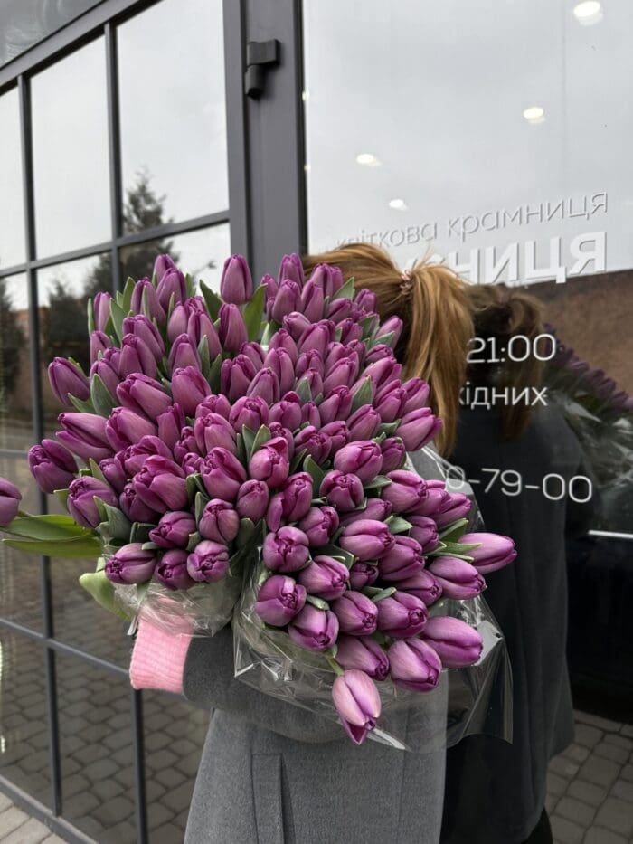 Тюльпан фіолетовий - Зображення 4