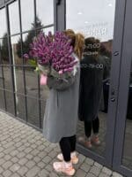 Тюльпан фіолетовий - Зображення 3