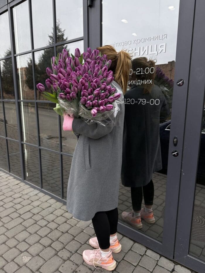 Тюльпан фіолетовий - Зображення 3