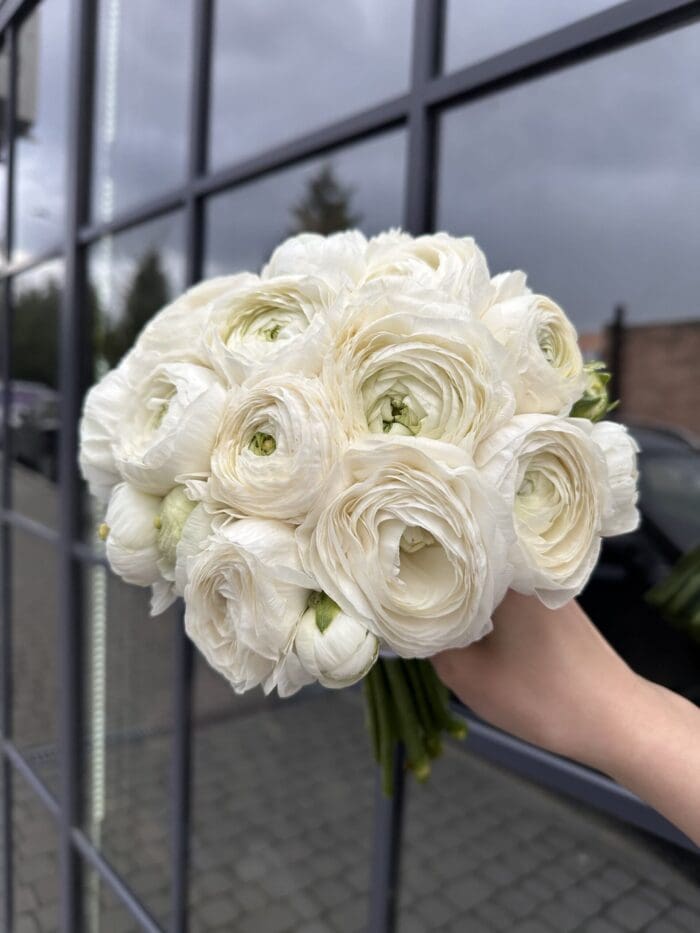 Весільний монобукет з ранункулюсу