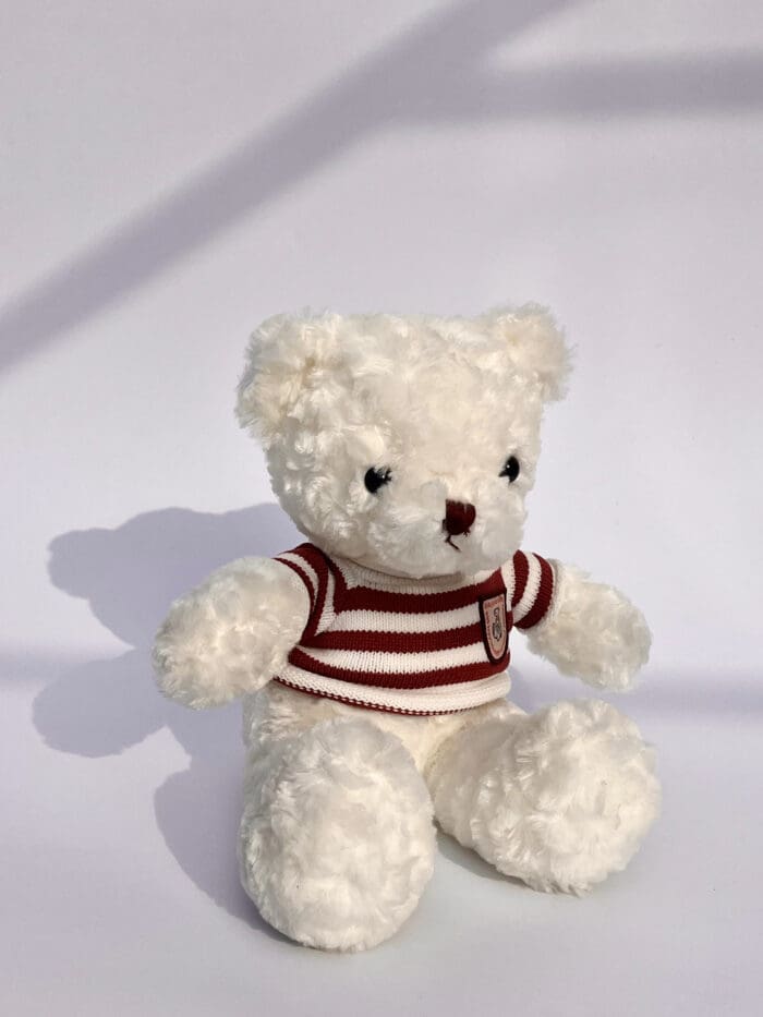 М'яка іграшка "Ведмедик в джемпері"