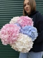 Монобукет з гортензії