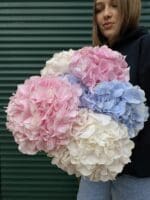 Монобукет з гортензії