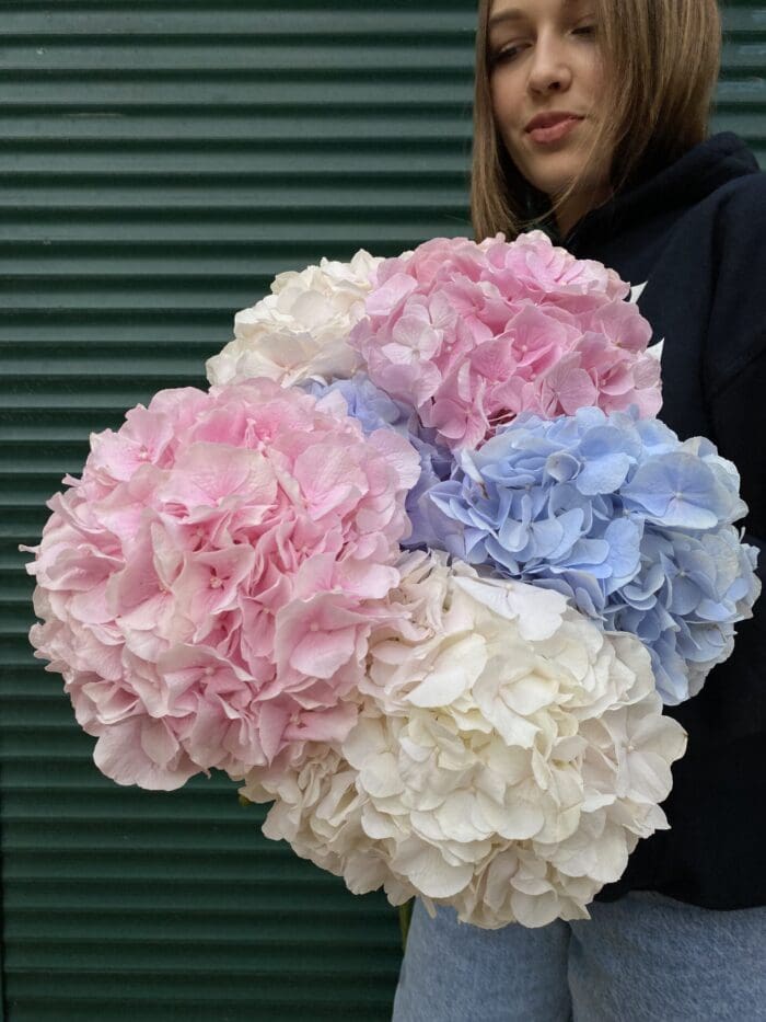 Монобукет з гортензії