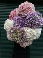 Монобукет з гортензії