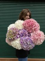 Монобукет з гортензії - Зображення 2