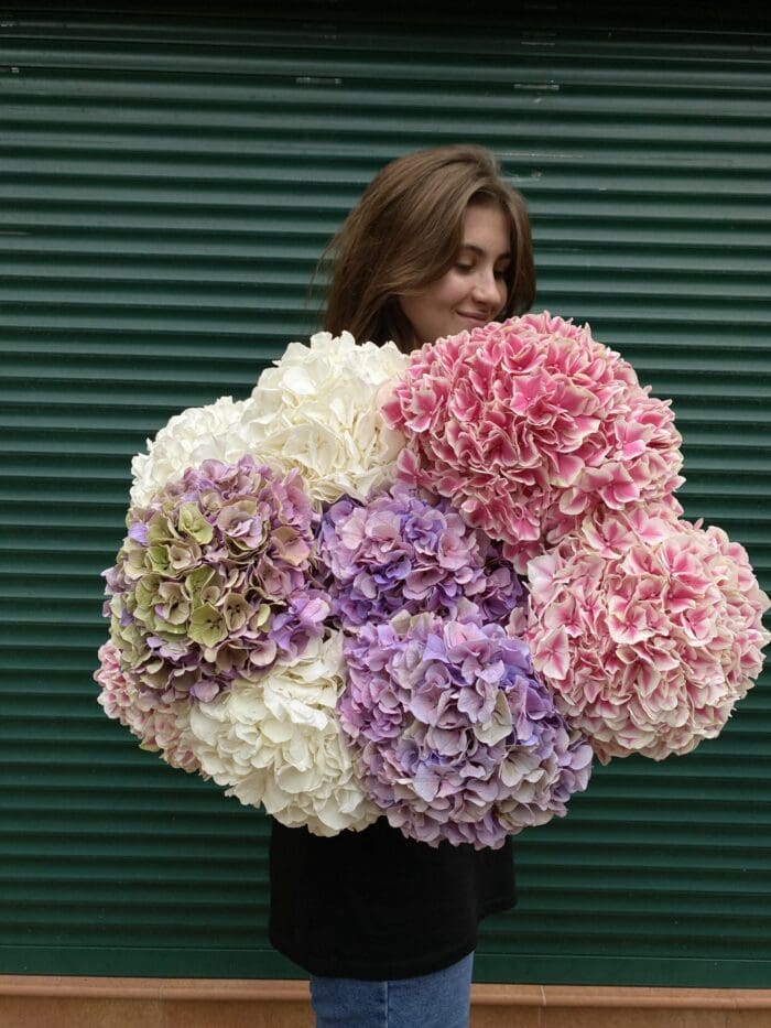 Монобукет з гортензії - Зображення 2