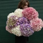 Монобукет з гортензії