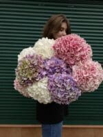 Монобукет з гортензії