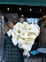 Монобукет з зантадексії