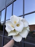 Весільний монобукет з зантадескій