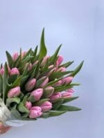 Тюльпан фіолетово-білий Argos - Зображення 2