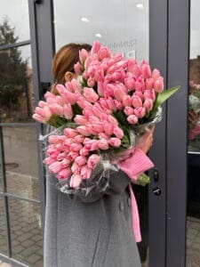 Тюльпан біло-рожевий