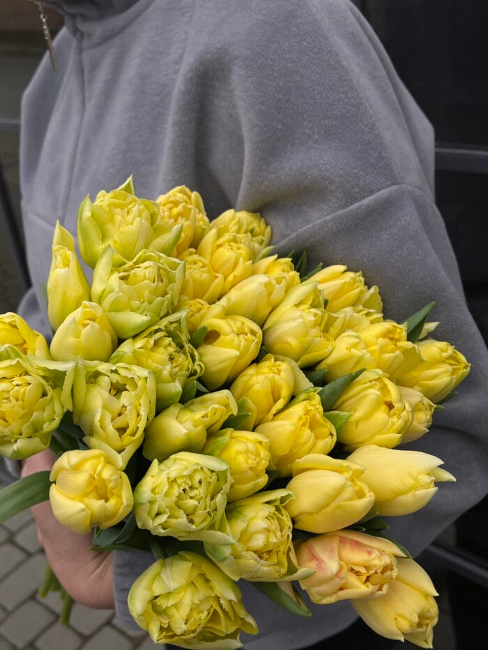 Тюльпан жовтий Вінниця