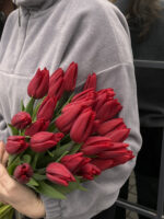 Тюльпан червоний