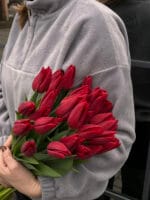 Тюльпан червоний - Зображення 2