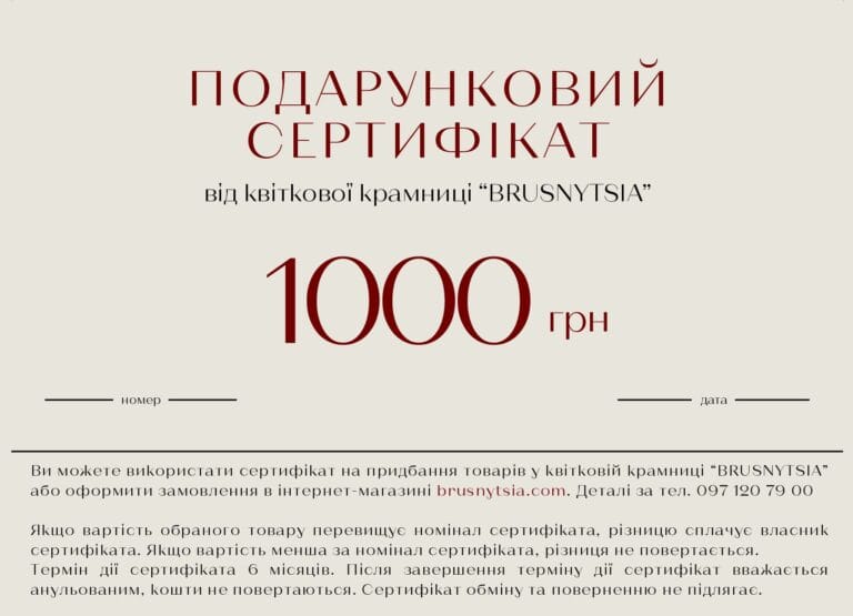 Подарункові сертифікати - 1000