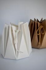 Транспортувальна ваза (аквабокс) - Зображення 3