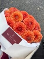 Моно букет із жоржин - Зображення 2