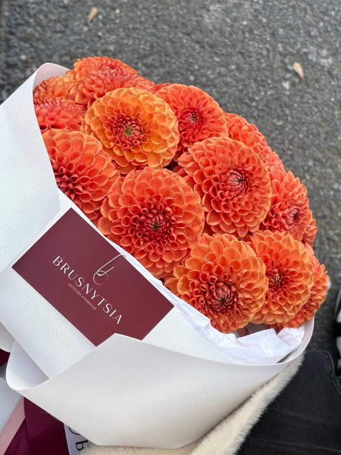 Моно букет із жоржин - Зображення 2