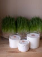 Свічка "POLONYNA" - Зображення 2