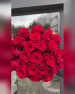 Букет з 25 червоних троянд Експлорер — відео
